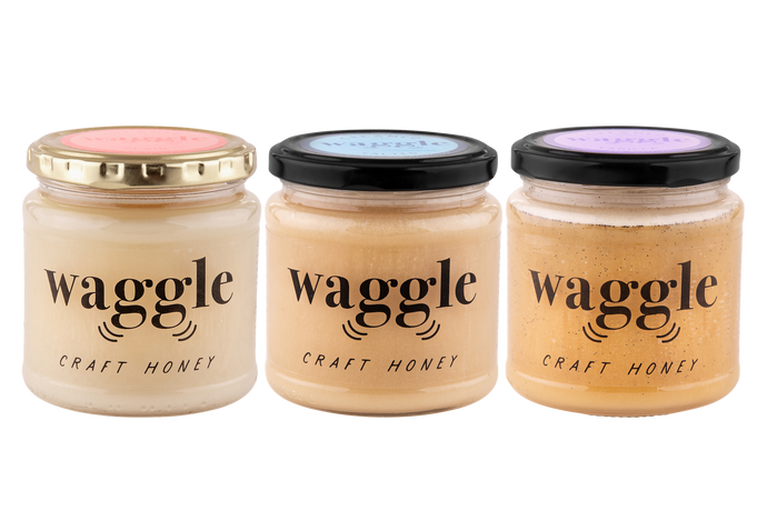 Forager Trio Large (3x340g) | Waggle Craft Honey Gift Set