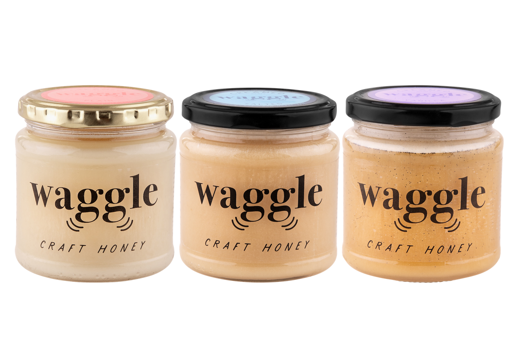 Forager Trio Large (3x340g) | Waggle Craft Honey Gift Set